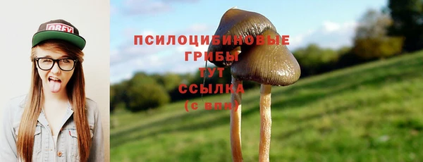 экстази Баксан