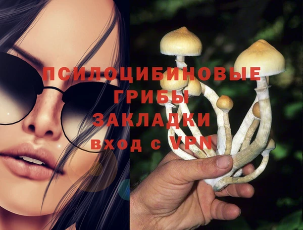 мяу мяу мука Тавда